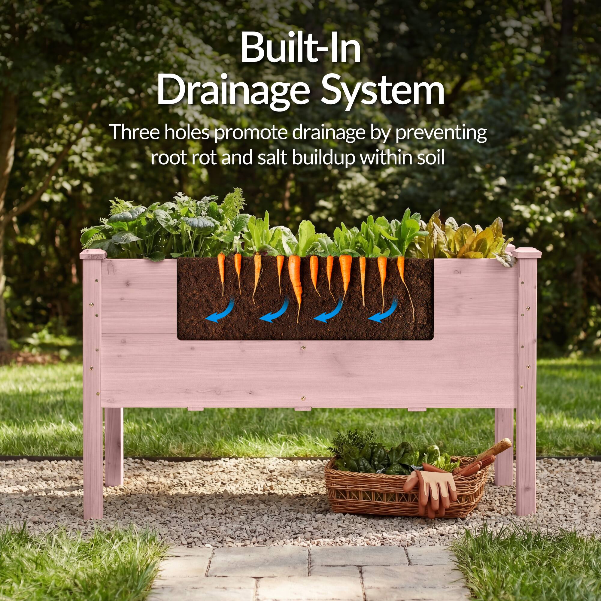 Built-In Drainage System

Three holes promote drainage by preventing root rot and salt buildup within soil