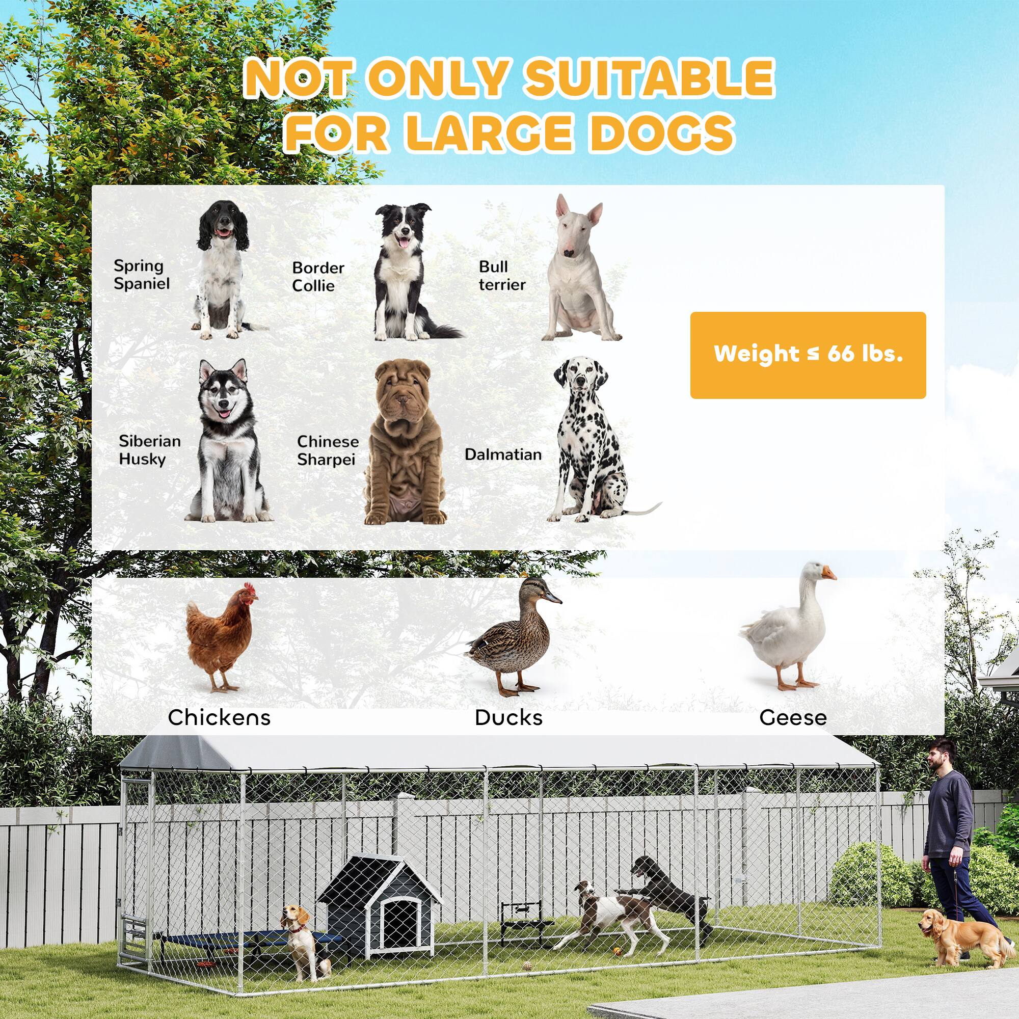 NOT ONLY SUITABLE FOR LARGE DOGS

Spring Spaniel  
Border Collie  
Bull Terrier  
Siberian Husky  
Chinese Shar Pei  
Dalmatian  

Weight ≤ 66 lbs.

Chickens  
Ducks  
Geese