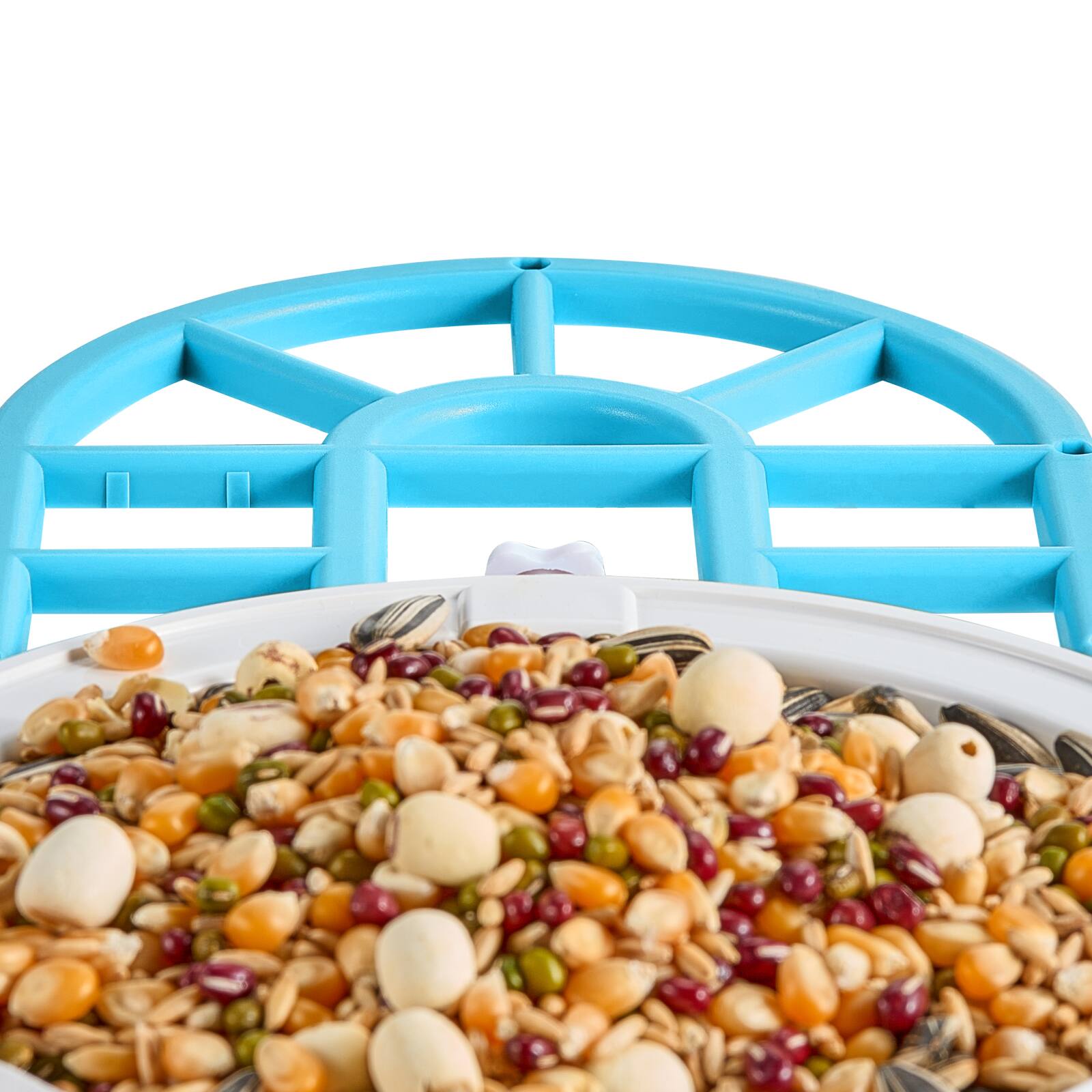 Alt View 1. Anysun - Smart Bird Feeder with Camera 2K HD AI Identify Bird Species Auto Capture - Blue.