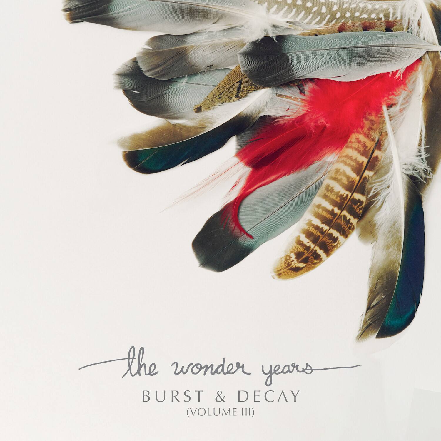 the wonder years  
BURST & DECAY  
(VOLUME III)