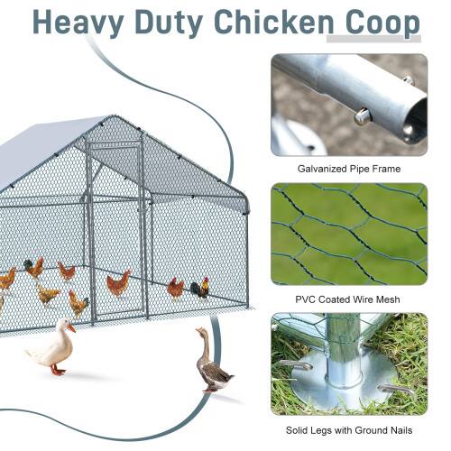 Heavy Duty Chicken Coop

- Galvanized Pipe Frame
- PVC Coated Wire Mesh
- Solid Legs with Ground Nails