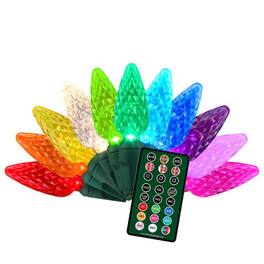 Celebrations - Platinum LED C6 50 ct String Christmas Lights 25 ft - Multicolored