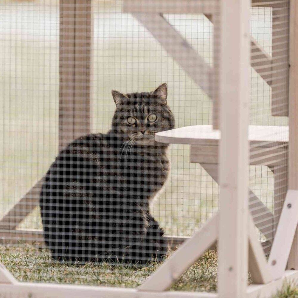 Angle. TRIXIE - Natura Weatherproof Wooden Cattery with 3 Perches, 44L x 70.9W x 31.5H, Gray - Light Gray.