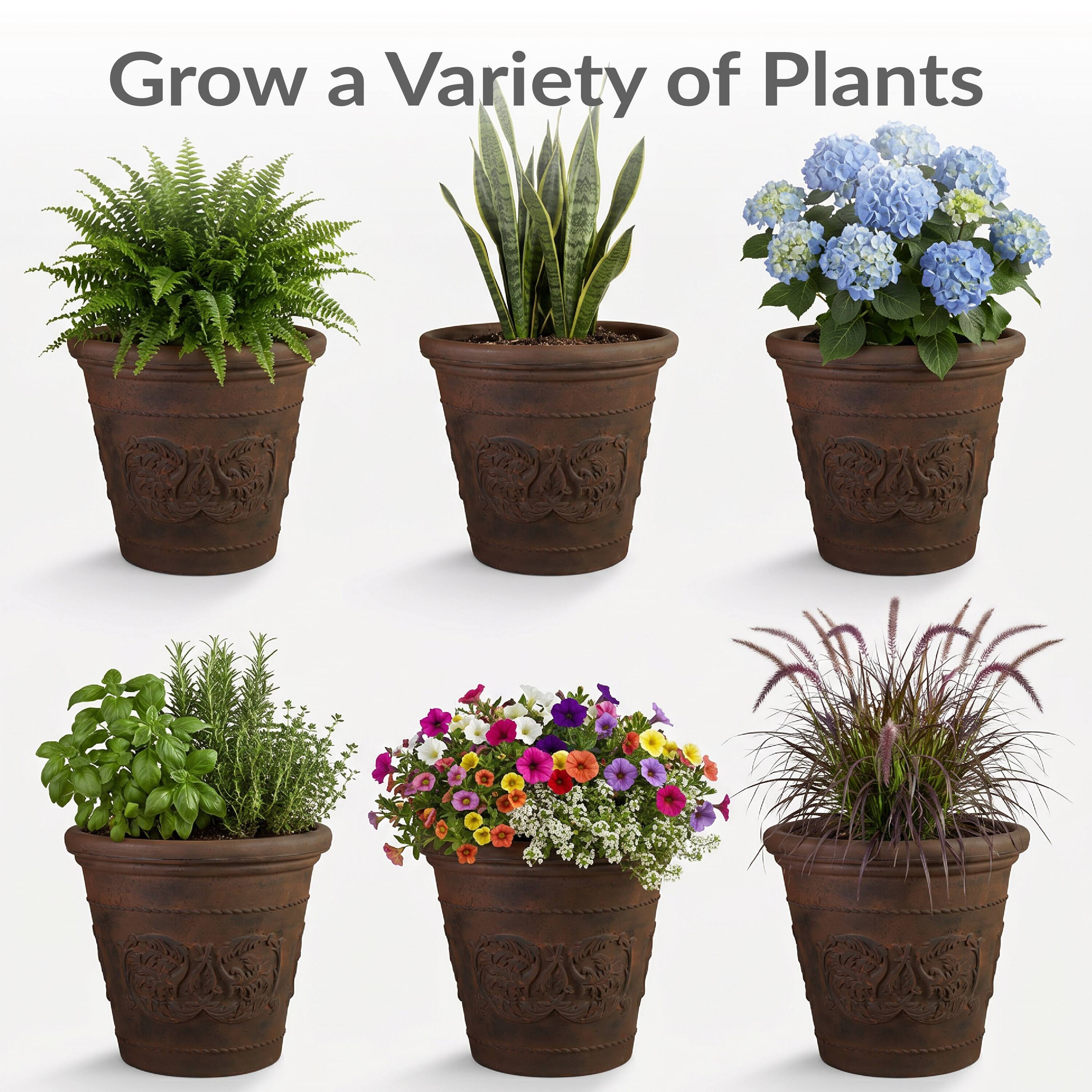 Grow a Variety of Plants