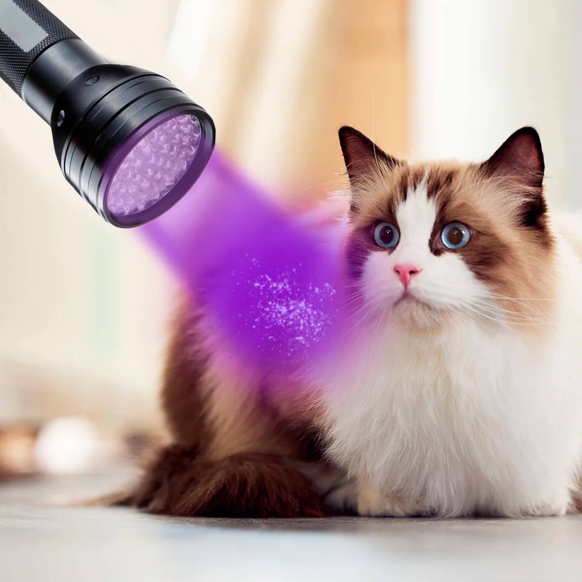 Alt View 1. HQRP - 390 nm UV Blacklight Flashlight - 51 LED Inspection.