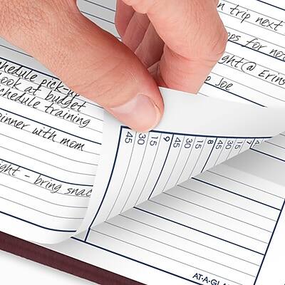 Sure, here is the corrected and grouped text:

---

**Schedule:**

- Check at pick-up budget
- Schedule training
- Dinner with mom

**Night:**
- Bring snacks

**Trip next:**
- Plans for next night @ Erin's

**Joe Erin:**
- 45 30 15
- 45 30 15
- 8 7
- P 45 30 15

**AT-A-GLANCE:**

---