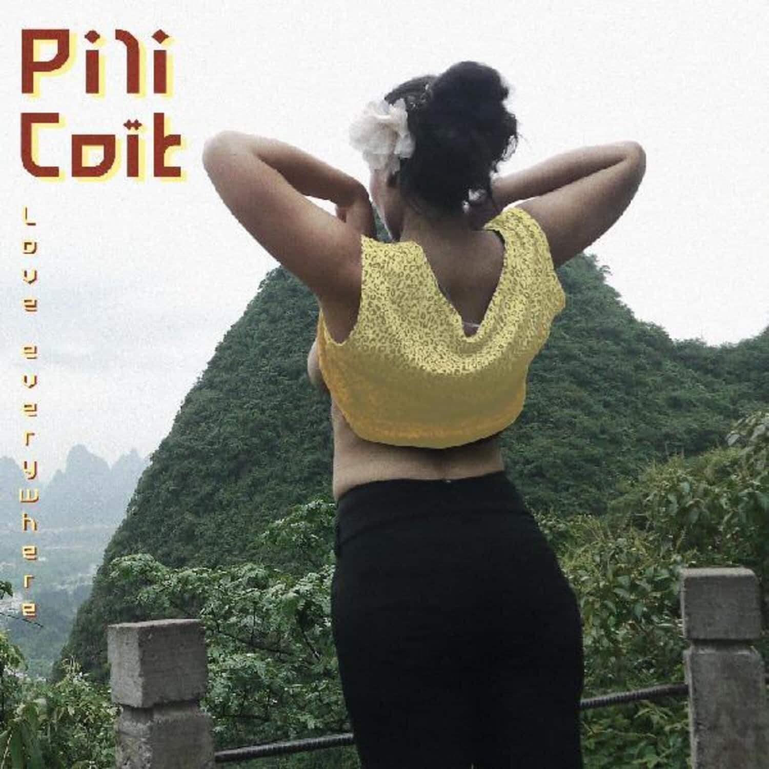 Pili Coit - Love Everywhere   - CASSETTES price history on PriceWatchPro