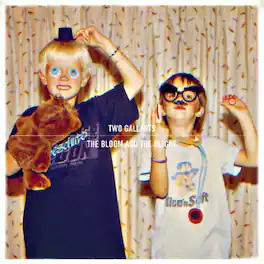 Two Gallants - The Bloom and The Blight - VINYL LP
