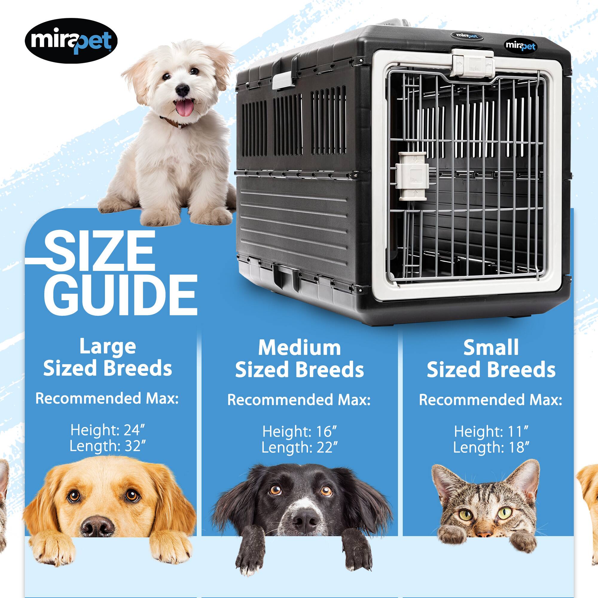 mirapet SIZE GUIDE

Large Sized Breeds
Recommended Max:
Height: 24"
Length: 32"

Medium Sized Breeds
Recommended Max:
Height: 16"
Length: 22"

Small Sized Breeds
Recommended Max:
Height: 11"
Length: 18"