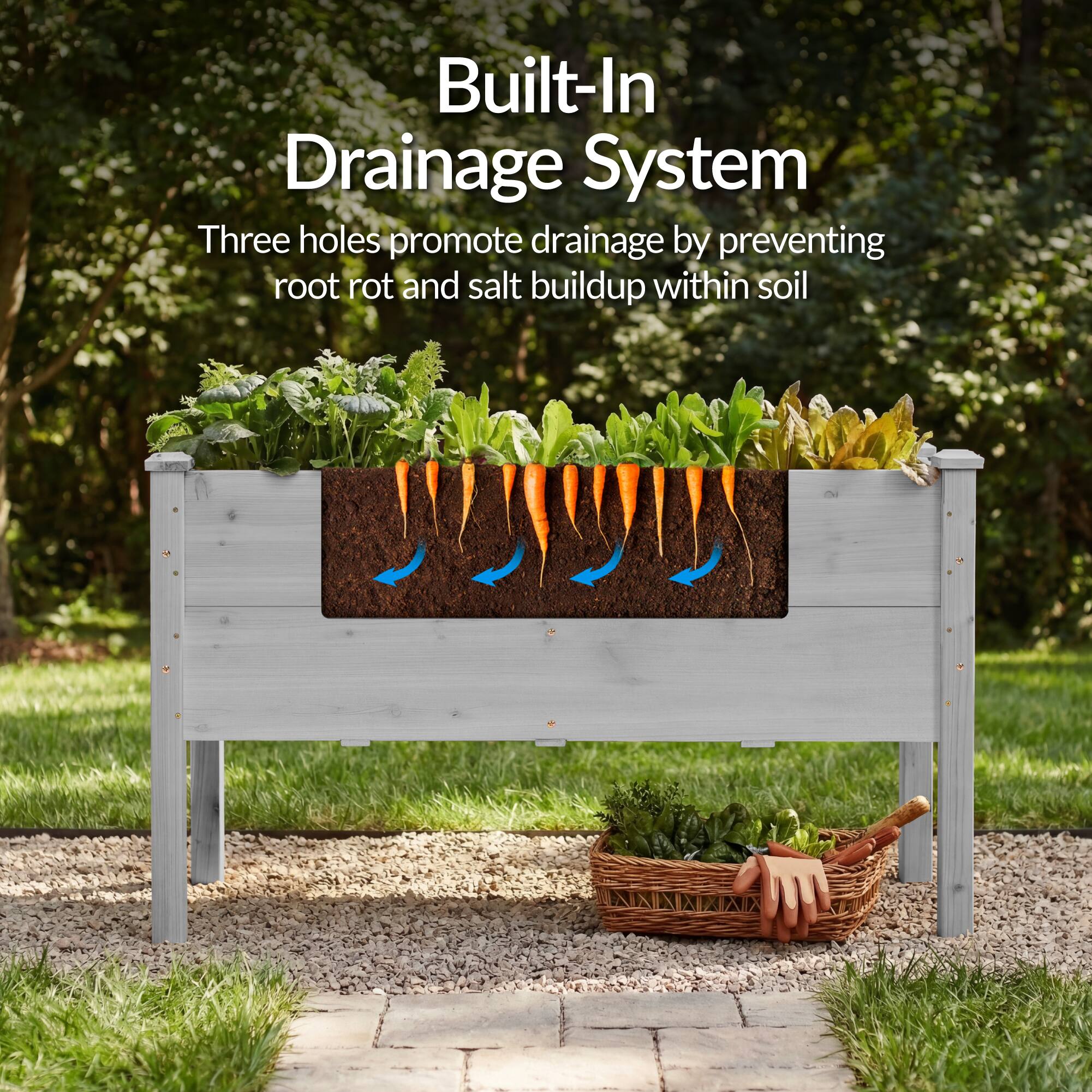 Built-In Drainage System

Three holes promote drainage by preventing root rot and salt buildup within soil