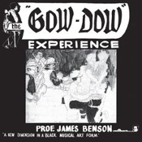 The Gow-Dow Experience [LP] - VINYL - Front_Zoom
