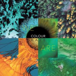 Colour Haze - We Are - VINYL LP