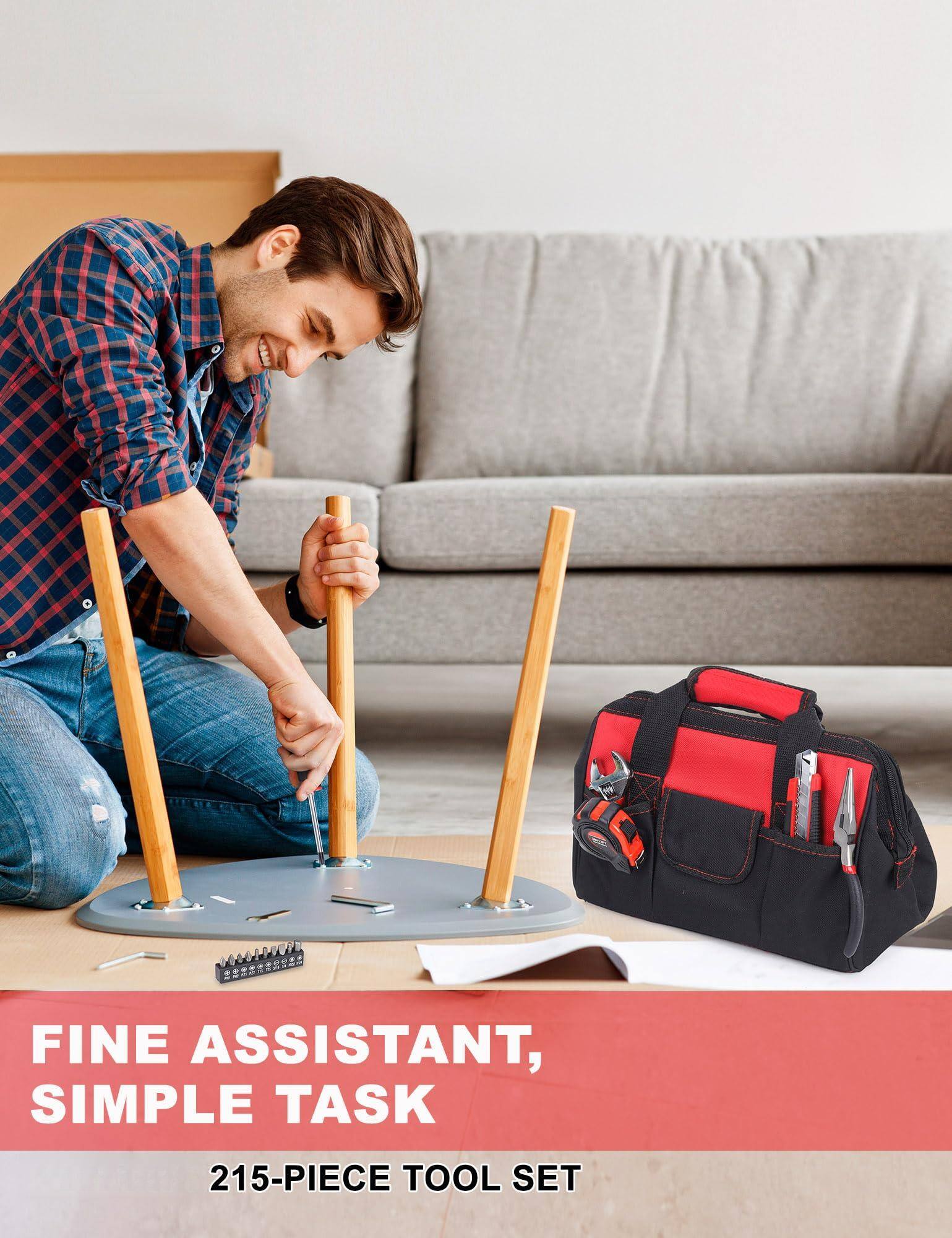 FINE ASSISTANT, SIMPLE TASK  
215-PIECE TOOL SET