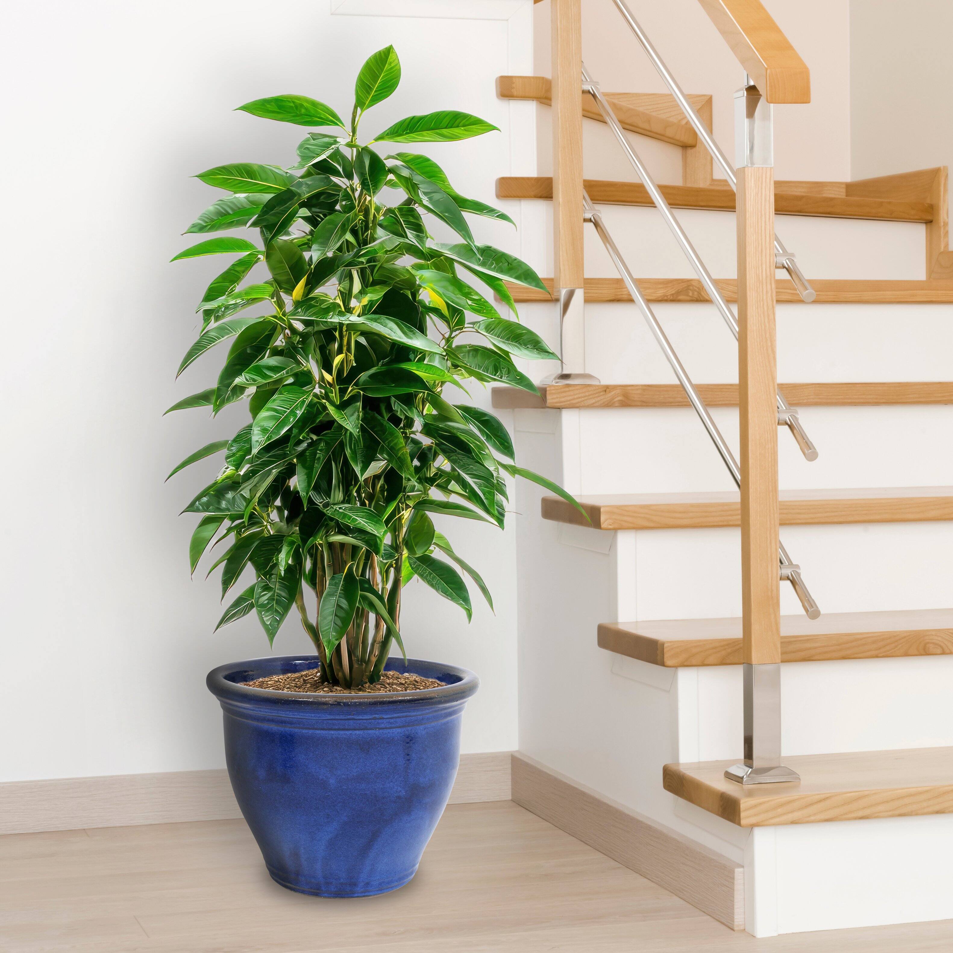 Alt View 9. Sunnydaze - 18.5 in Studio High-Fired Glazed Ceramic Planter - Imperial Blue.