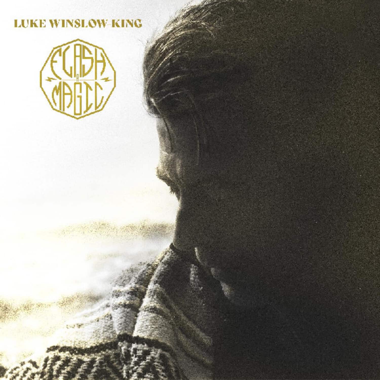 Luke Winslow-King - Flash-a-magic   - VINYL LP price history on PriceWatchPro