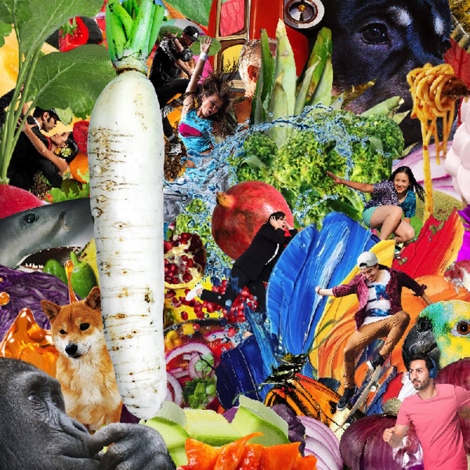 Jetski - The Radiant Radish   - COMPACT DISCS [CD] price history on PriceWatchPro