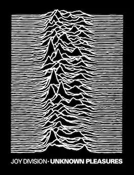PopMarket - Joy Division - Rocksax - Joy Division - Unknown Pleasures - Sherpa Fleece Blanket (60 in x 80 in) - Multicolor