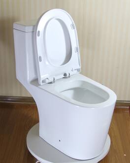 Boyel Living - Upflush Toilet For Basement 600W Macerating System Dual Flush 1725 ADA Comfort Soft Close Seat 3 Water Inlets - White