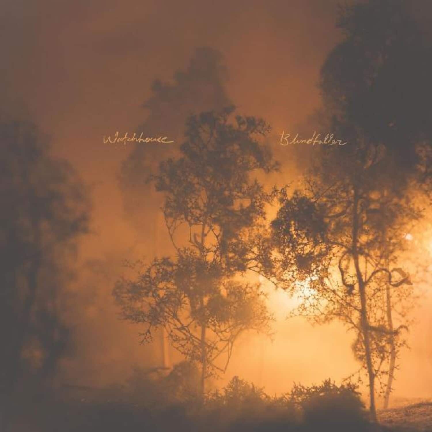 Watchhouse - Blindfaller   - COMPACT DISCS [CD] price history on PriceWatchPro