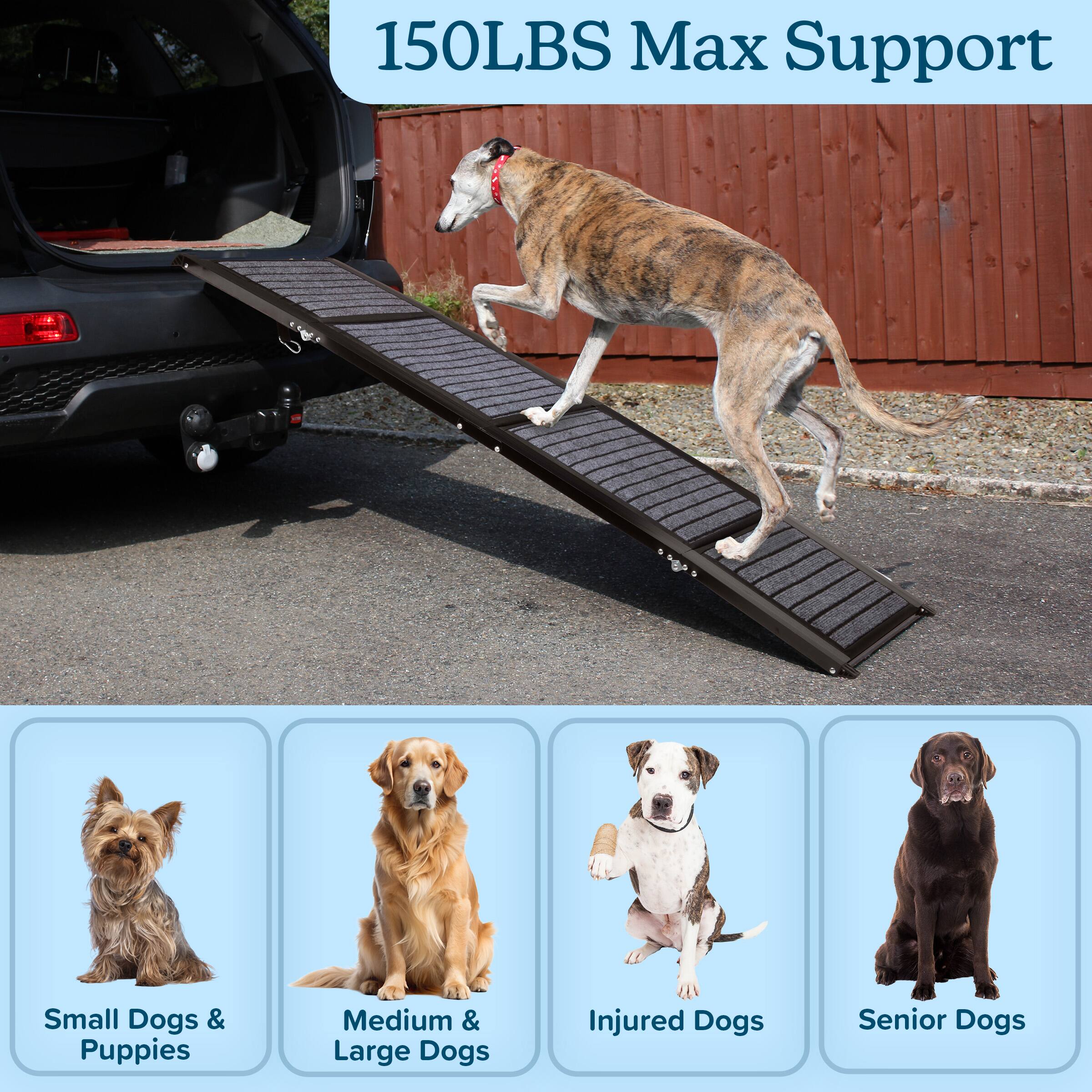 150LBS Max Support

- Small Dogs & Puppies
- Medium & Large Dogs
- Injured Dogs
- Senior Dogs