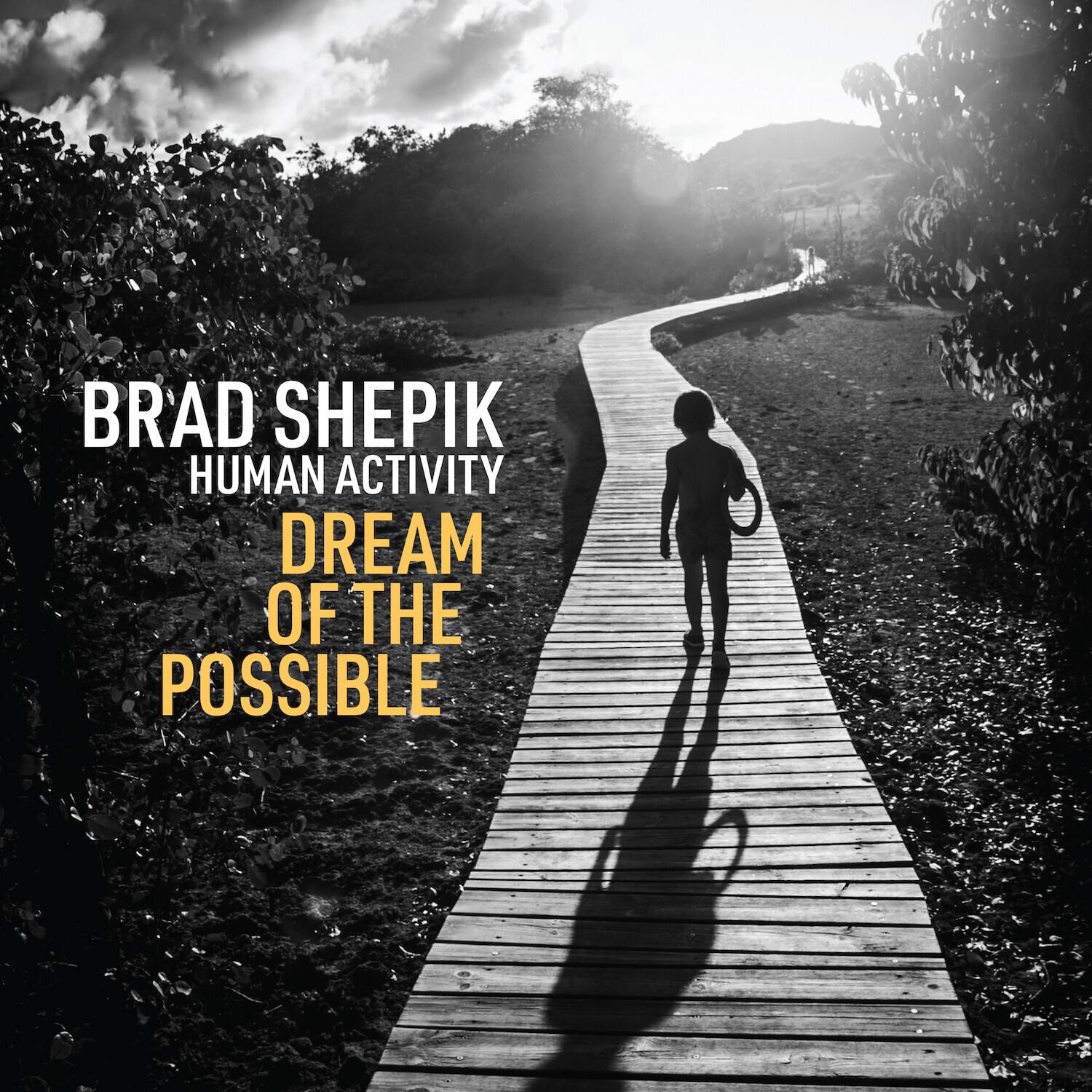 Brad Shepik - Human Activity: Dream of the Possible   - COMPACT DISCS [CD]