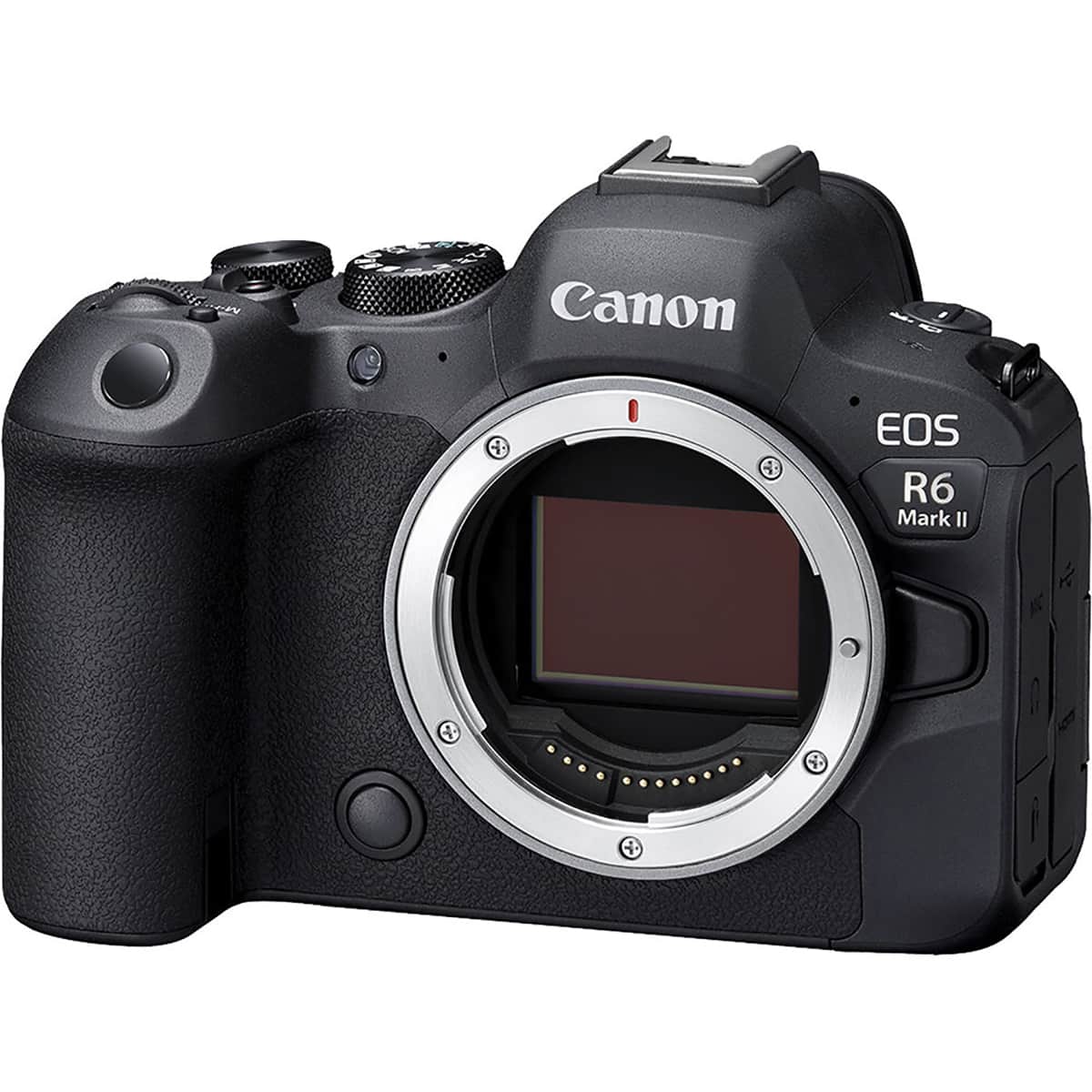 Canon EOS R6 Mark II Mirrorless Camera with Cropping Guide