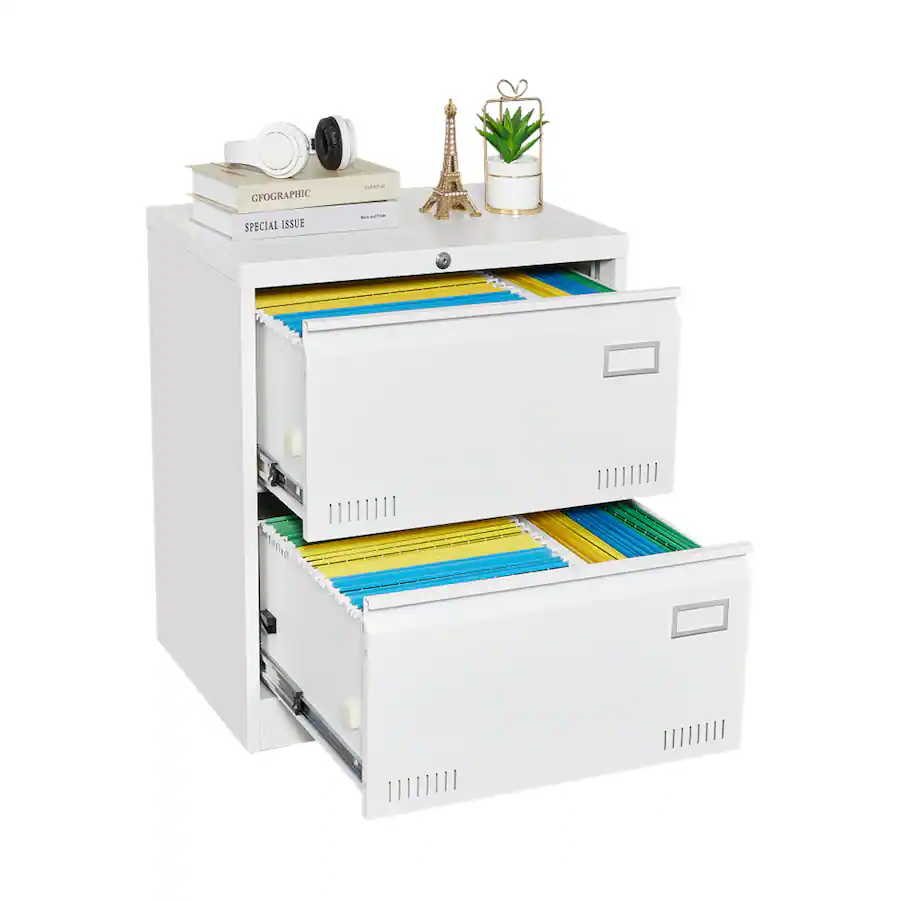 HTUTWOO 2 Drawer Lateral File Cabinet with Lock Office Vertical File ...