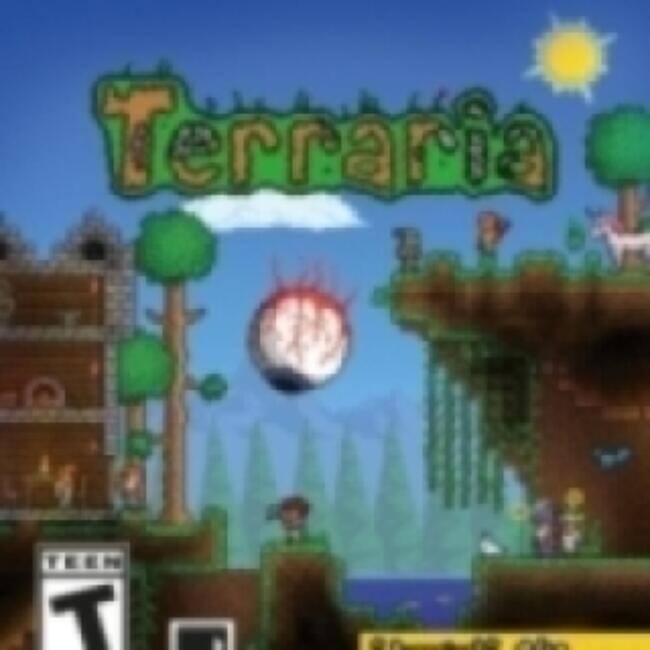 Front. 505 Games - Terraria - PlayStation Vita.