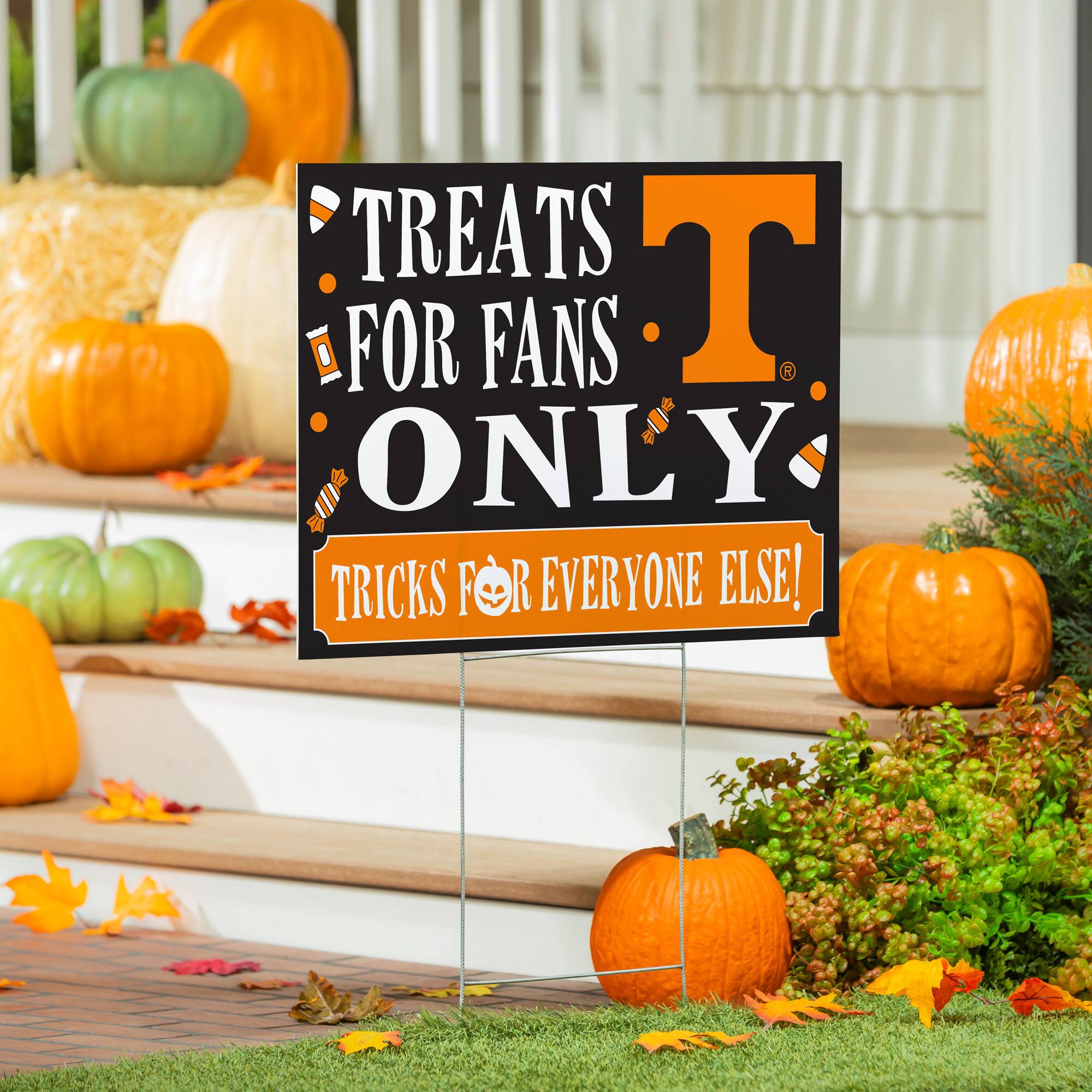 TREATS FOR FANS ONLY  
TRICKS FOR EVERYONE ELSE!