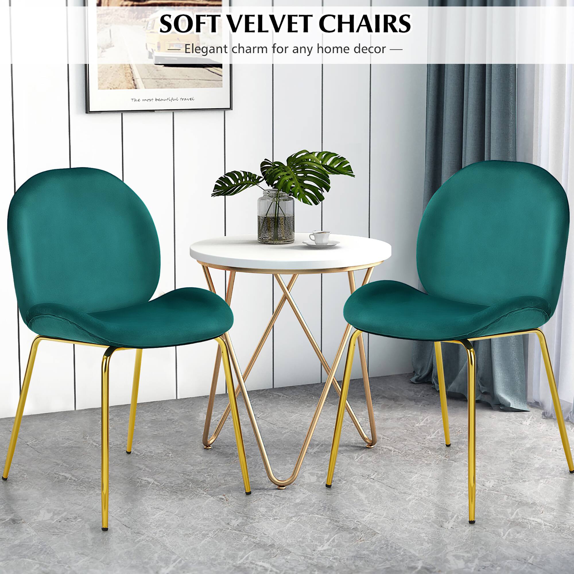 Soft Velvet Chairs: Elegant charm for any home decor.