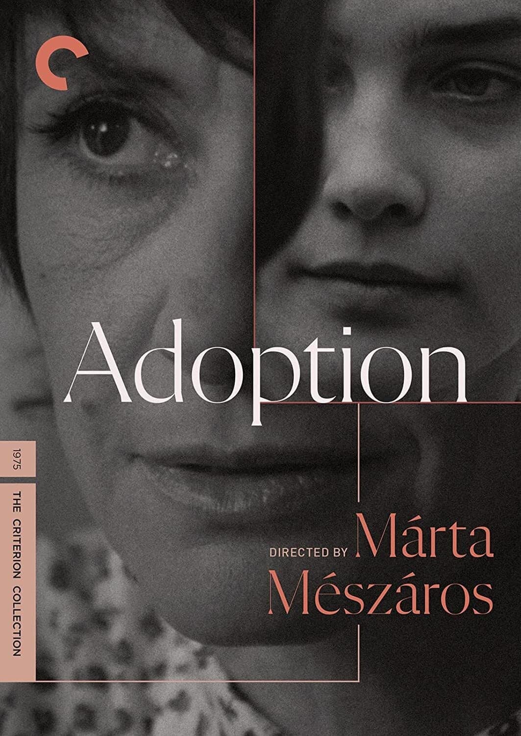 Adoption (Criterion Collection)  - DVD