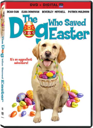 Front. The Dog Who Saved Easter   - DVD.