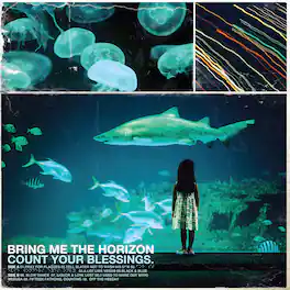 Bring Me the Horizon - Count Your Blessings - VINYL LP