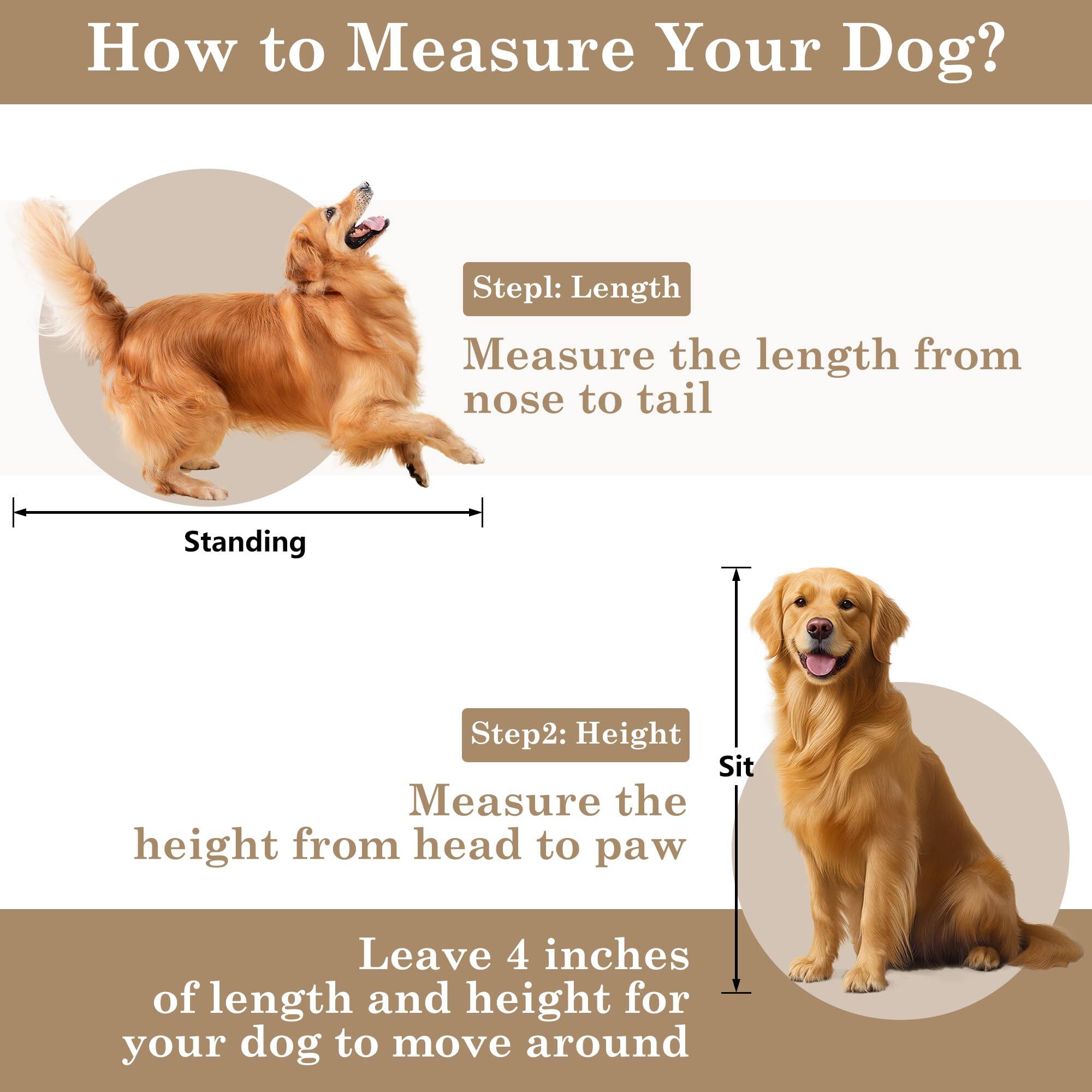 How to Measure Your Dog?

Step 1: Length
Measure the length from nose to tail

Step 2: Height
Measure the height from head to paw

Leave 4 inches of length and height for your dog to move around