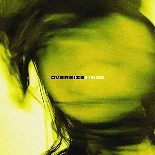 Into the Ceiling [LP] [VINYL] price history on PriceWatchPro