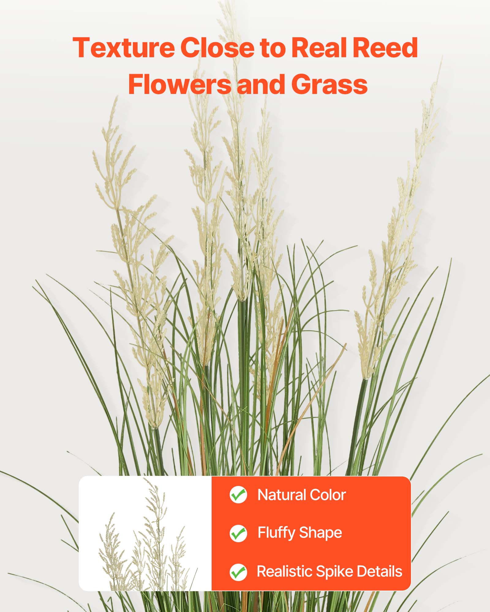 Texture Close to Real Reed Flowers and Grass

- Natural Color
- Fluffy Shape
- Realistic Spike Details