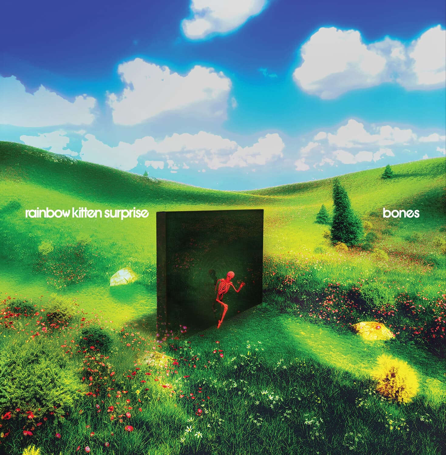 Rainbow Kitten Surprise - bones   - COMPACT DISCS [CD] price history on PriceWatchPro