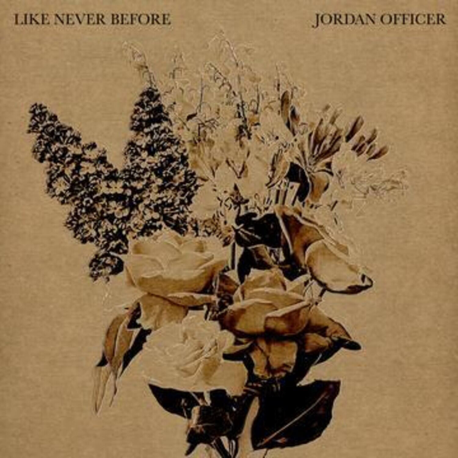 Jordan Officer - Like Never Before   - COMPACT DISCS [CD] price history on PriceWatchPro