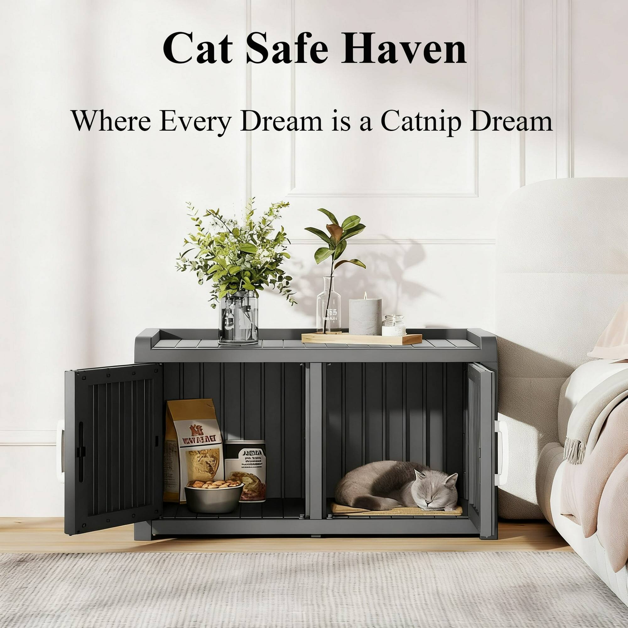 Cat Safe Haven  
Where Every Dream is a Catnip Dream