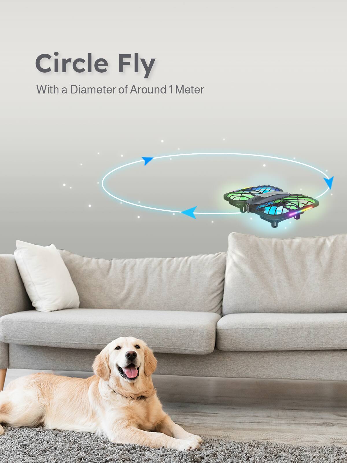 Circle Fly With a Diameter of Around 1 Meter