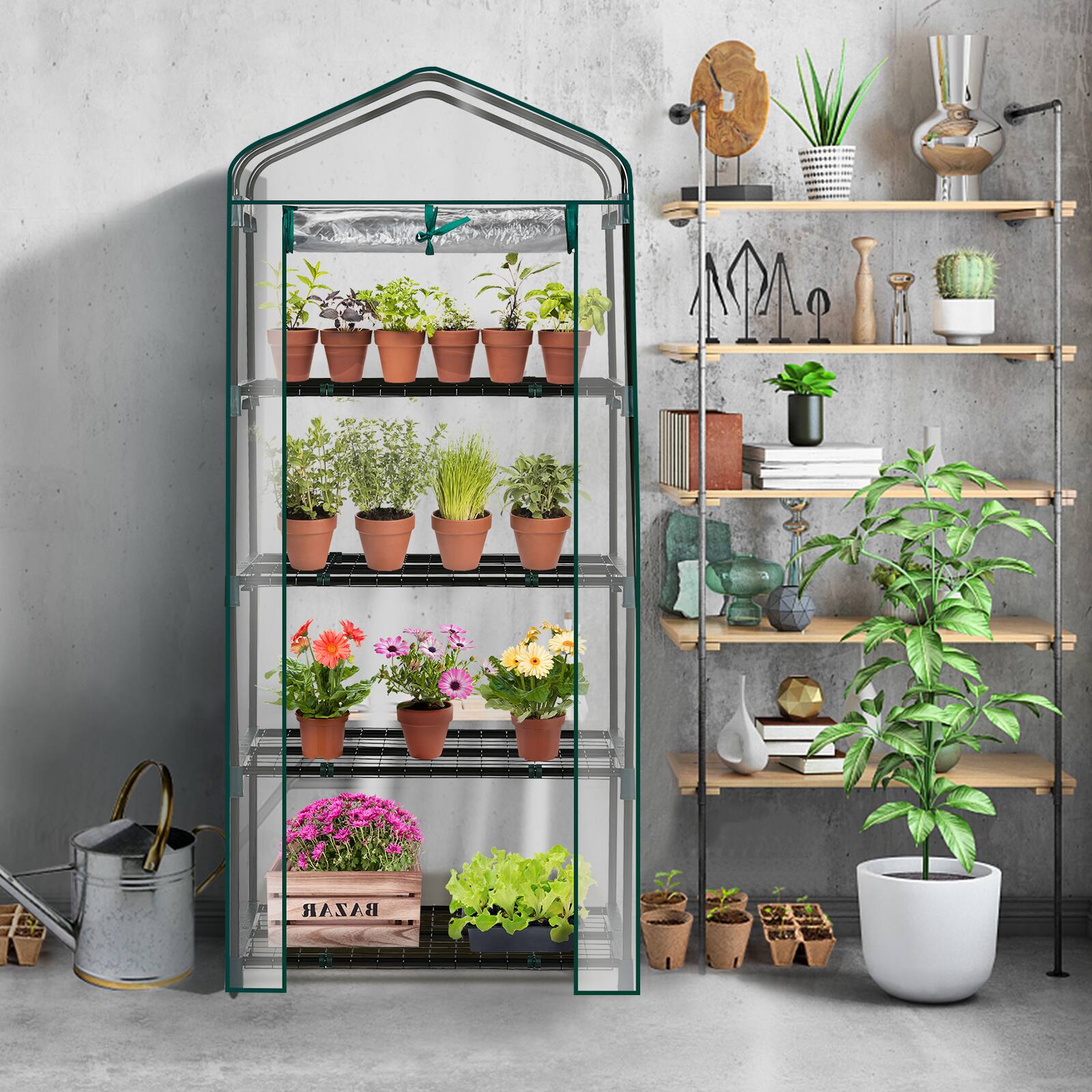 Alt View 5. Winado - 4 Tier Mini Greenhouse with PVC Cover & Roll-Up Zipper Door, Portable Waterproof Greenhouse.