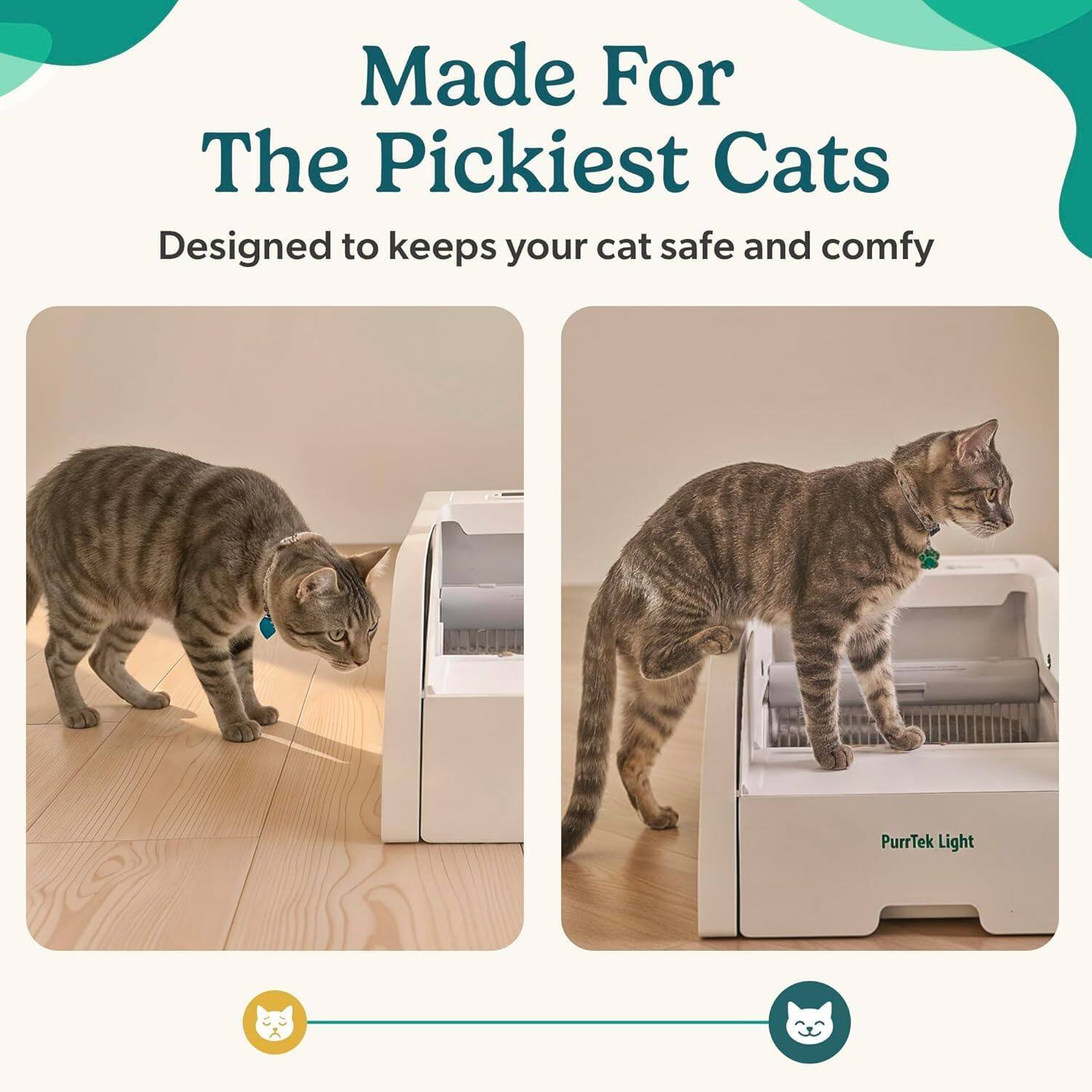 Made For The Pickiest Cats  
Designed to keep your cat safe and comfy  
PurrTek Light