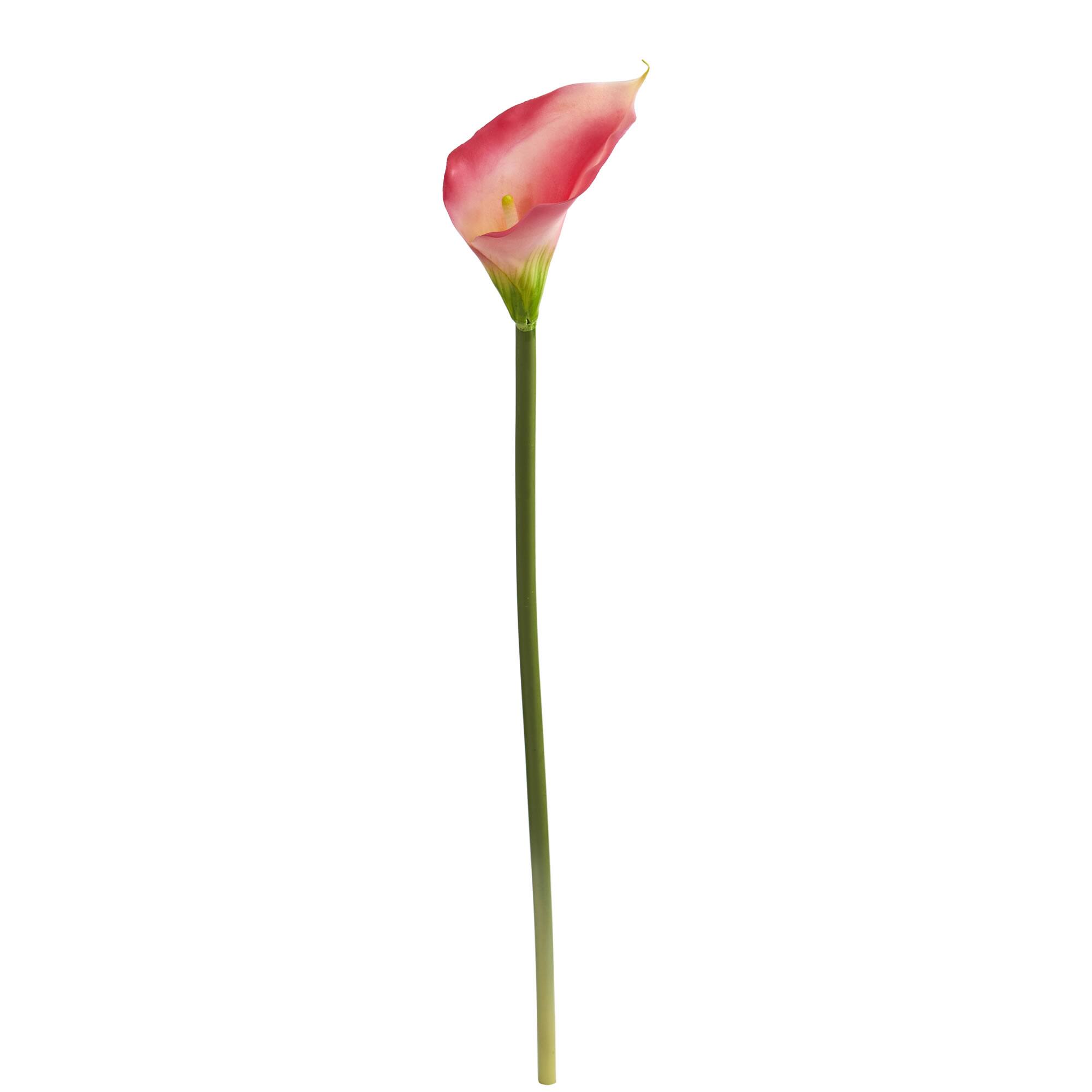 Angle. BreeBe - 28" Calla Lily Artificial Flower (Set of 12) - Pink.
