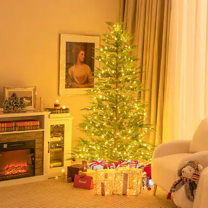 1 a e Hus 3 A Special Day