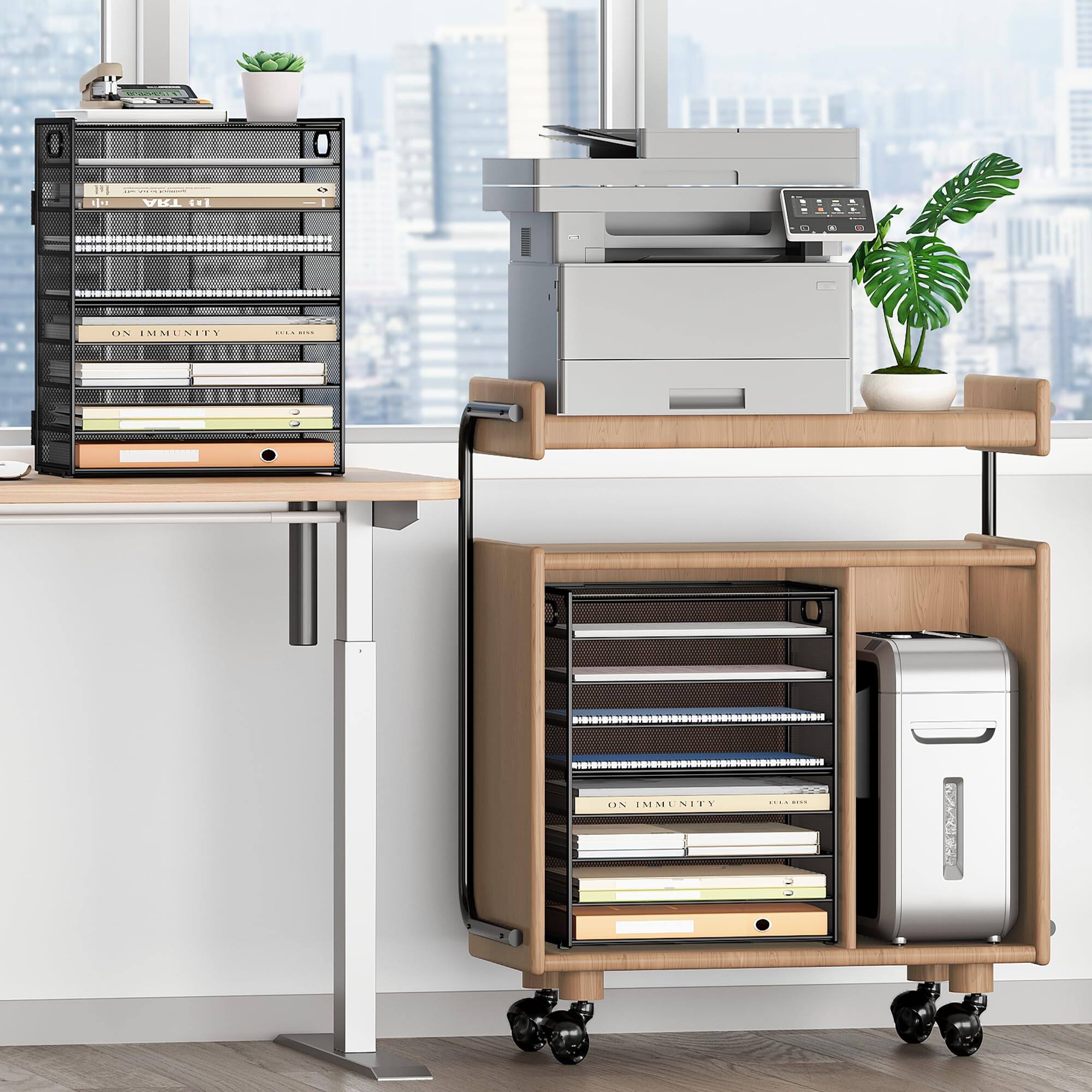 B 11 THA CHI 1% SMUNTES 1EN IMMUNITY