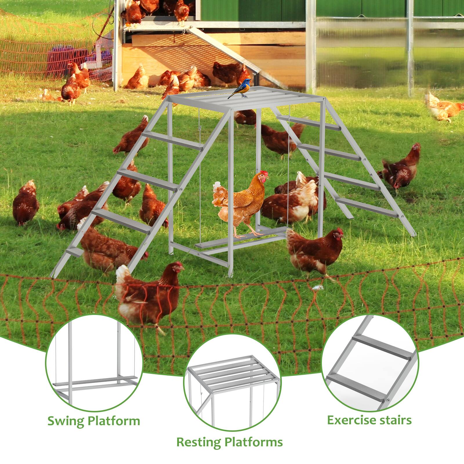 Swing Platform  
Resting Platforms  
Exercise stairs