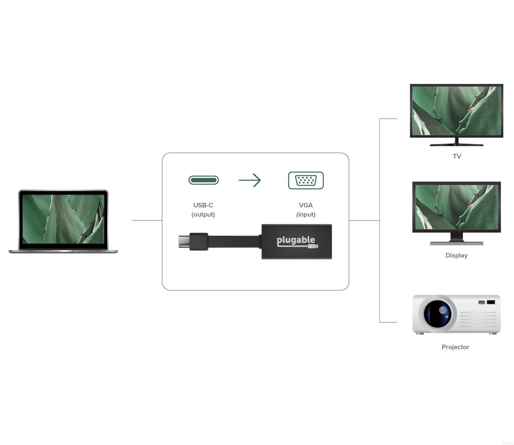 TV USB-C (output) VGA (input) plugable Display Projector