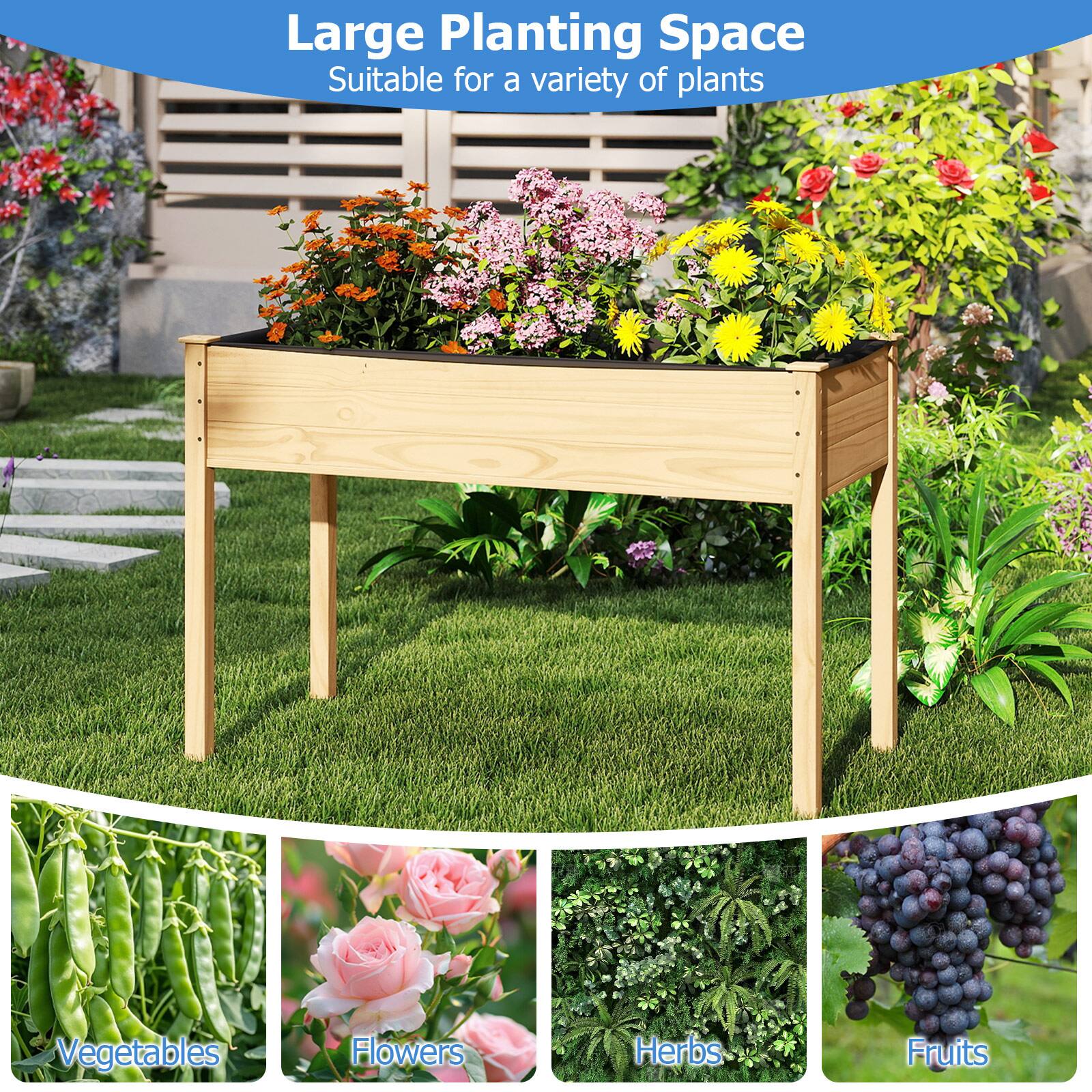 Large Planting Space  
Suitable for a variety of plants  

- Vegetables  
- Flowers  
- Herbs  
- Fruits