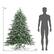 The text on the image reads "6FT 4.6FT," which indicates that the tree is 6 feet tall and the man's height is 4.6 feet.