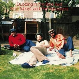 King Tubby's Agrovators - Dubbing In The Back Yard - VINYL LP